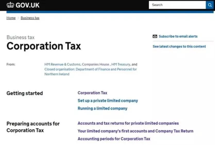 I will do UK company accounts and uk tax return filing